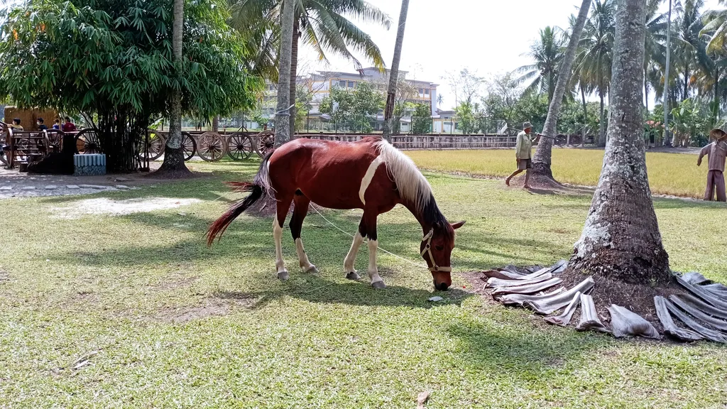 Menunggang Kuda di Kampung Agong