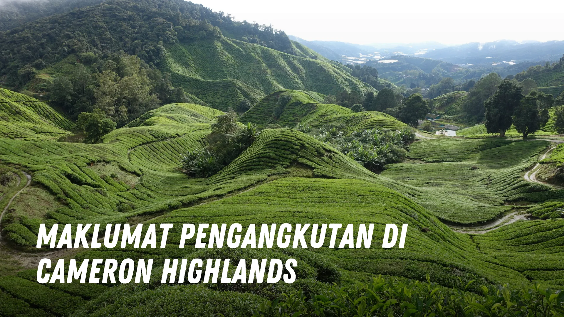 maklumat pengangkutan di Cameron Highlands di Malaysia