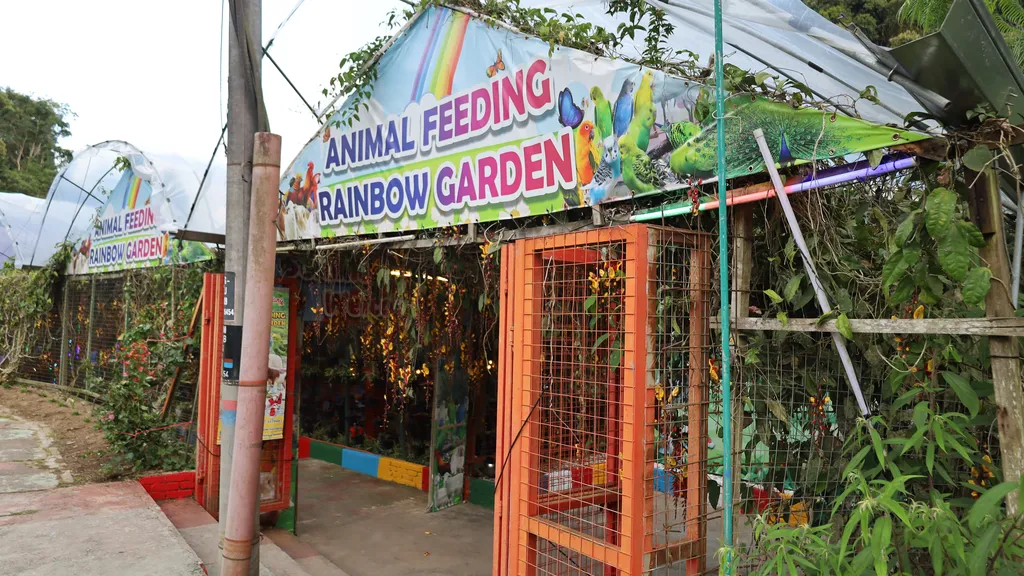 Aktiviti Keluarga yang Menggembirakan di Animal Feeding Rainbow Garden