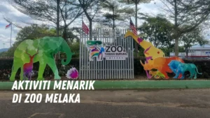 Aktiviti menarik di Zoo Melaka