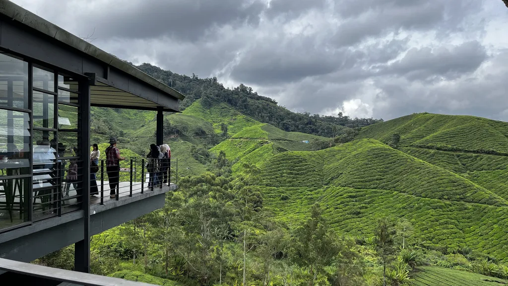 Destinasi Mesra Keluarga di Cameron Highlands Ladang Teh Boh