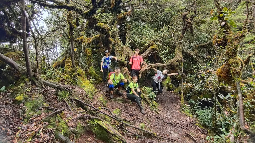 Destinasi Mesra Keluarga di Cameron Highlands Mossy Forest