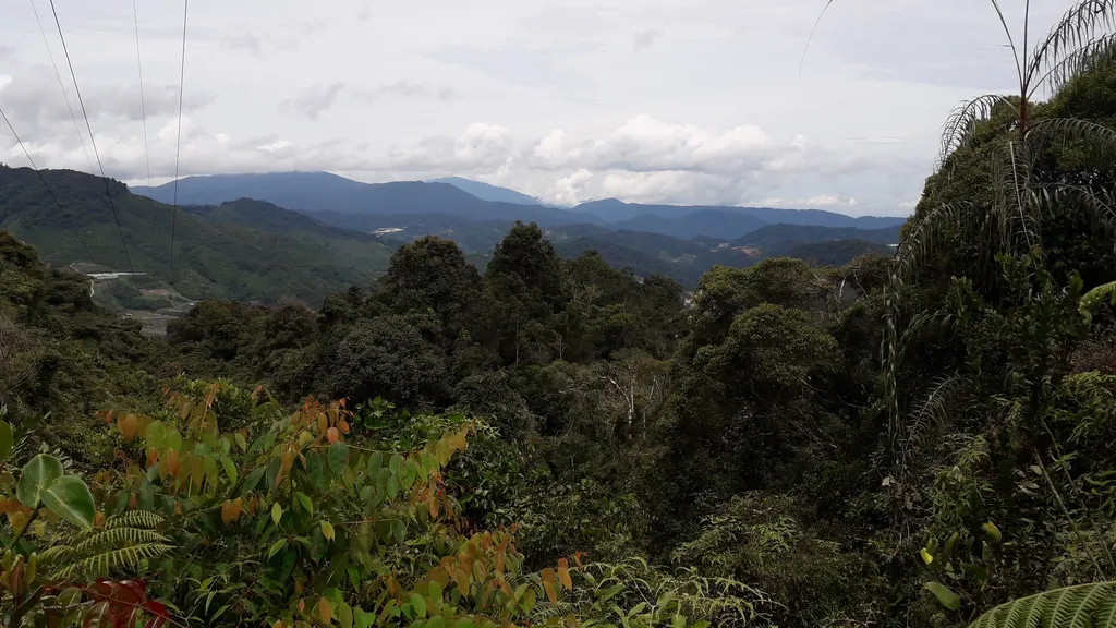 Gunung Berembun