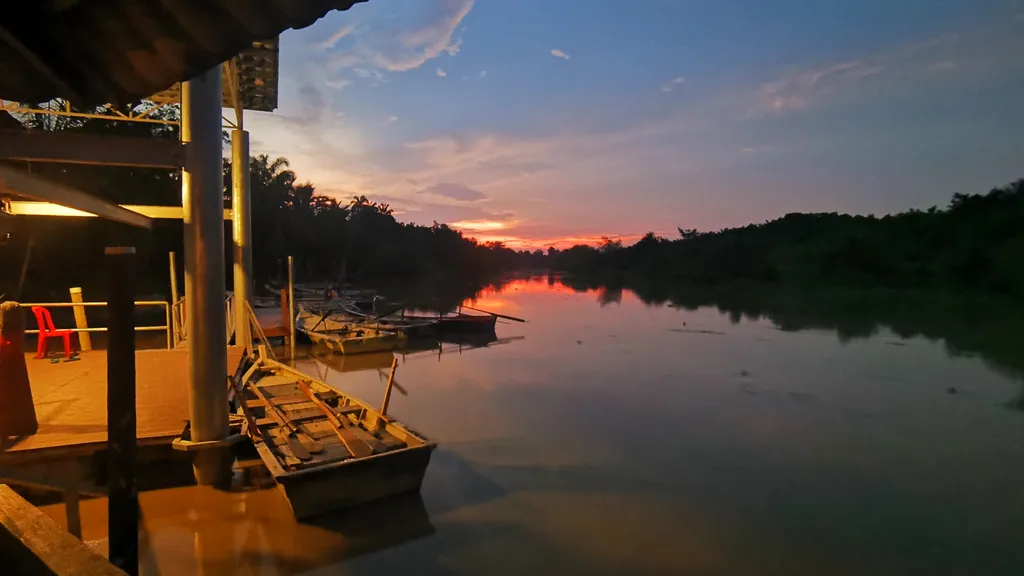 Keajaiban Alam Kuala Selangor Kampung Kuantan Firefly Park