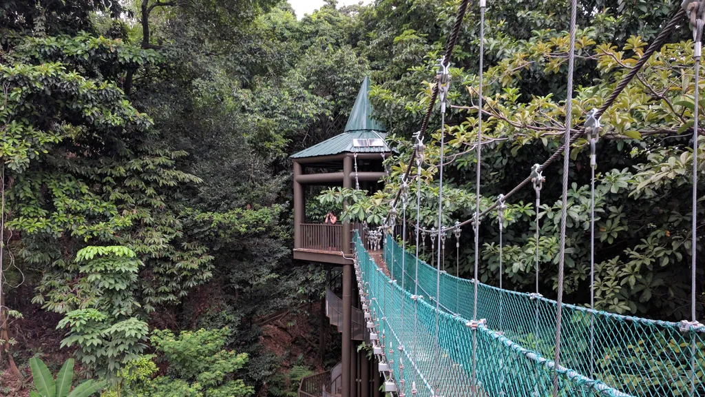 Kuala Lumpur Forest Eco Park