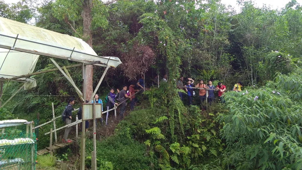 Laluan Trek Pendakian Gunung Berembun