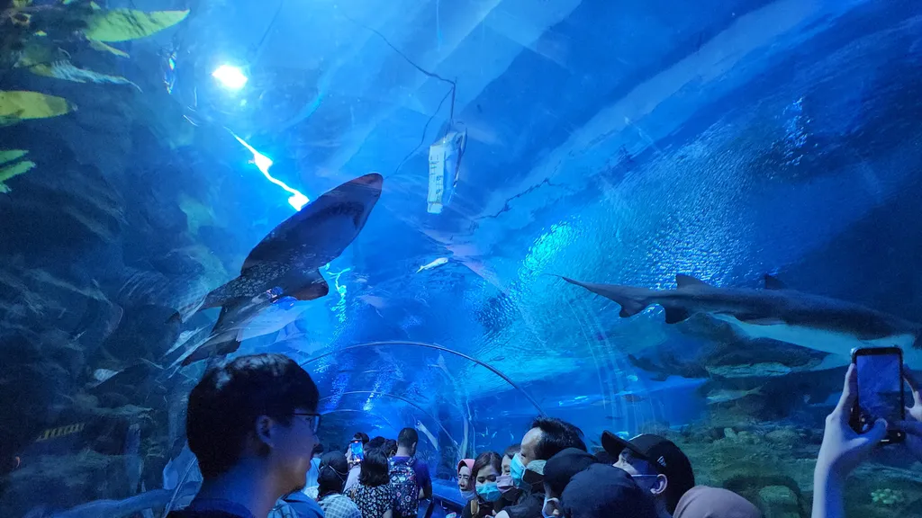 Percutian Singkat di Aquaria KLCC