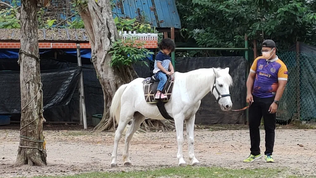 Senarai Pakej Percutian di Zoo Melaka