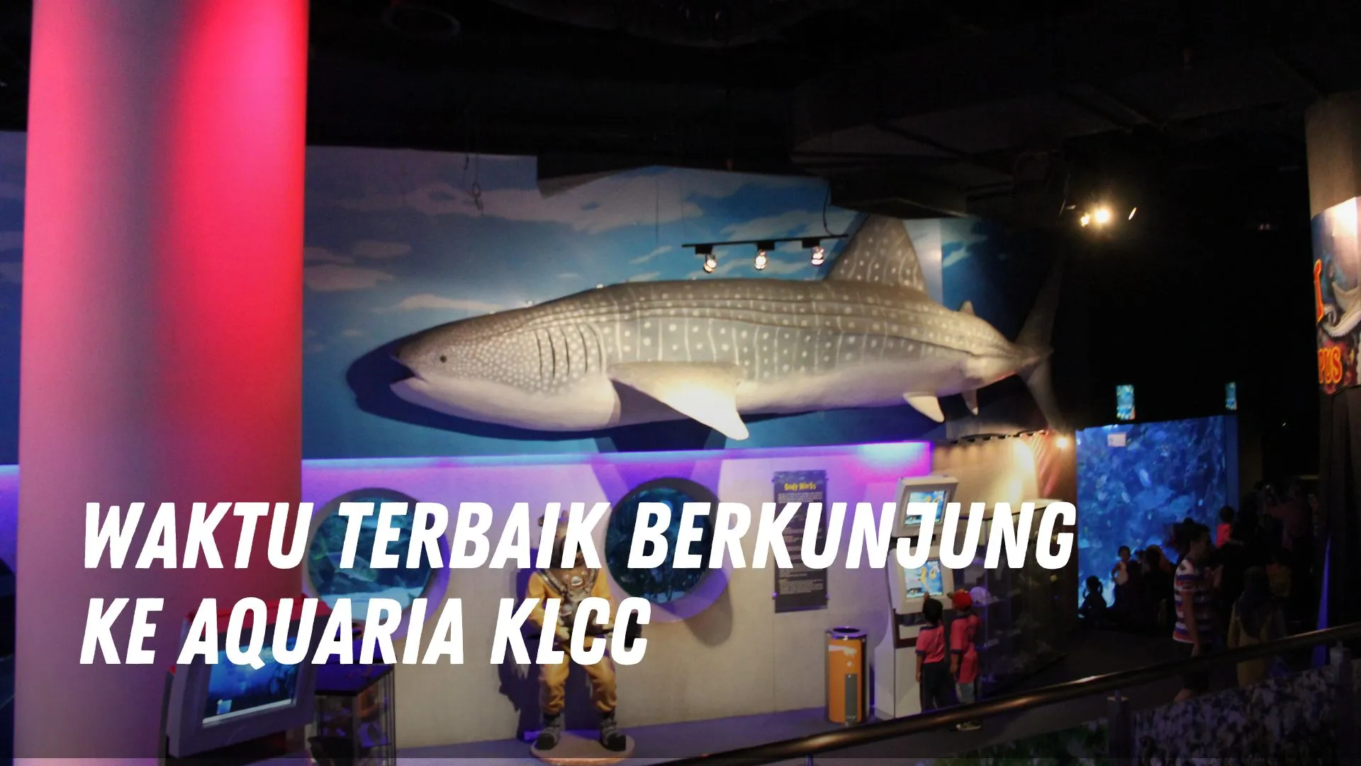 Waktu terbaik berkunjung ke Aquaria KLCC